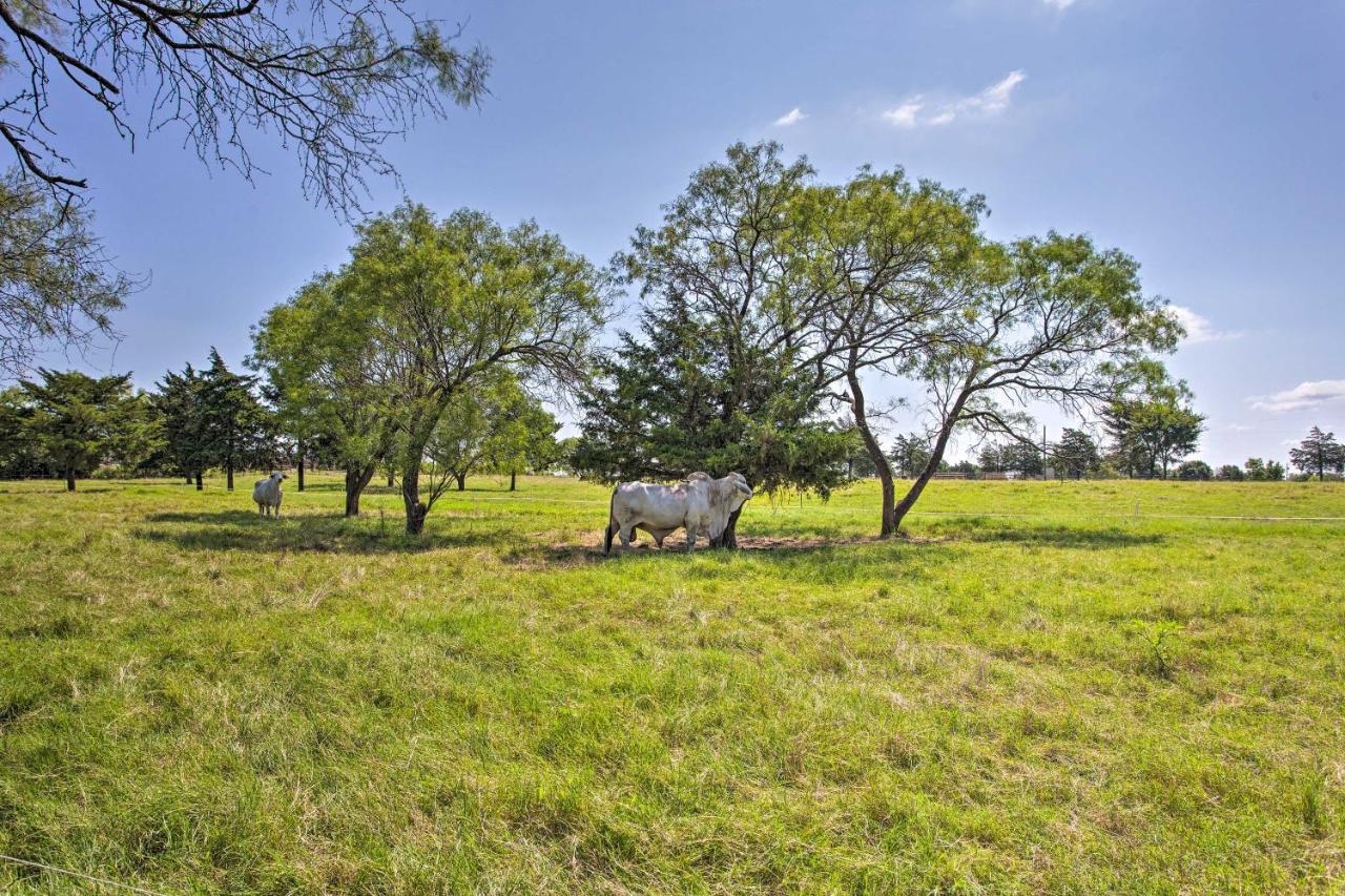 Texas Cabin On 130 Acres Walk To Lake Ray Roberts Collinsville Bagian luar foto